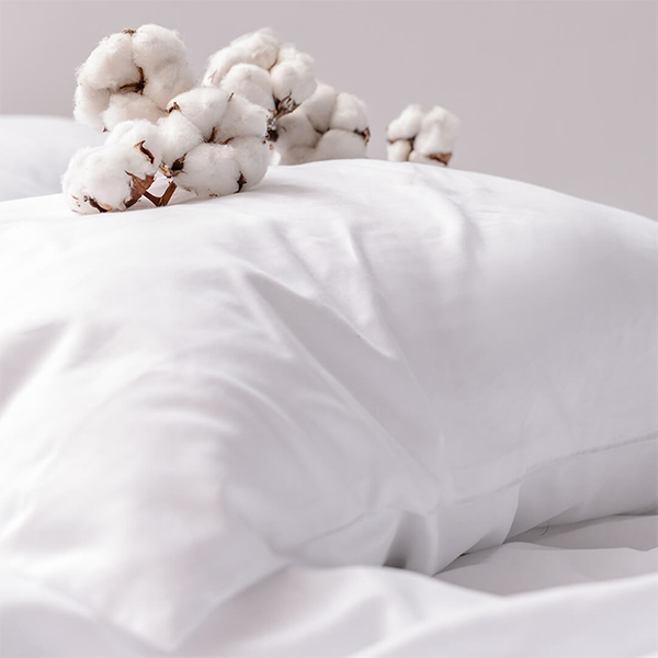 Cotton Bedding Selection Guide